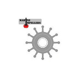 marine-impellers-compatibile-con-jb-17018-001-de-65-di-16-h-762-pale-8