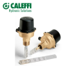 404034 Flussostato x Tubazioni Caleffi 1"-8" 250v